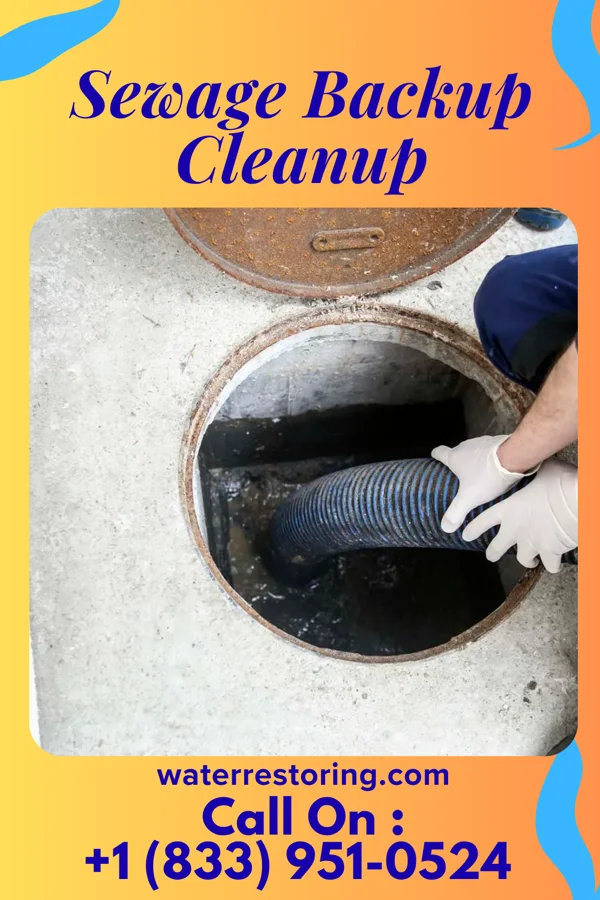 Sewage Backup Cleanup in Bremen, IN